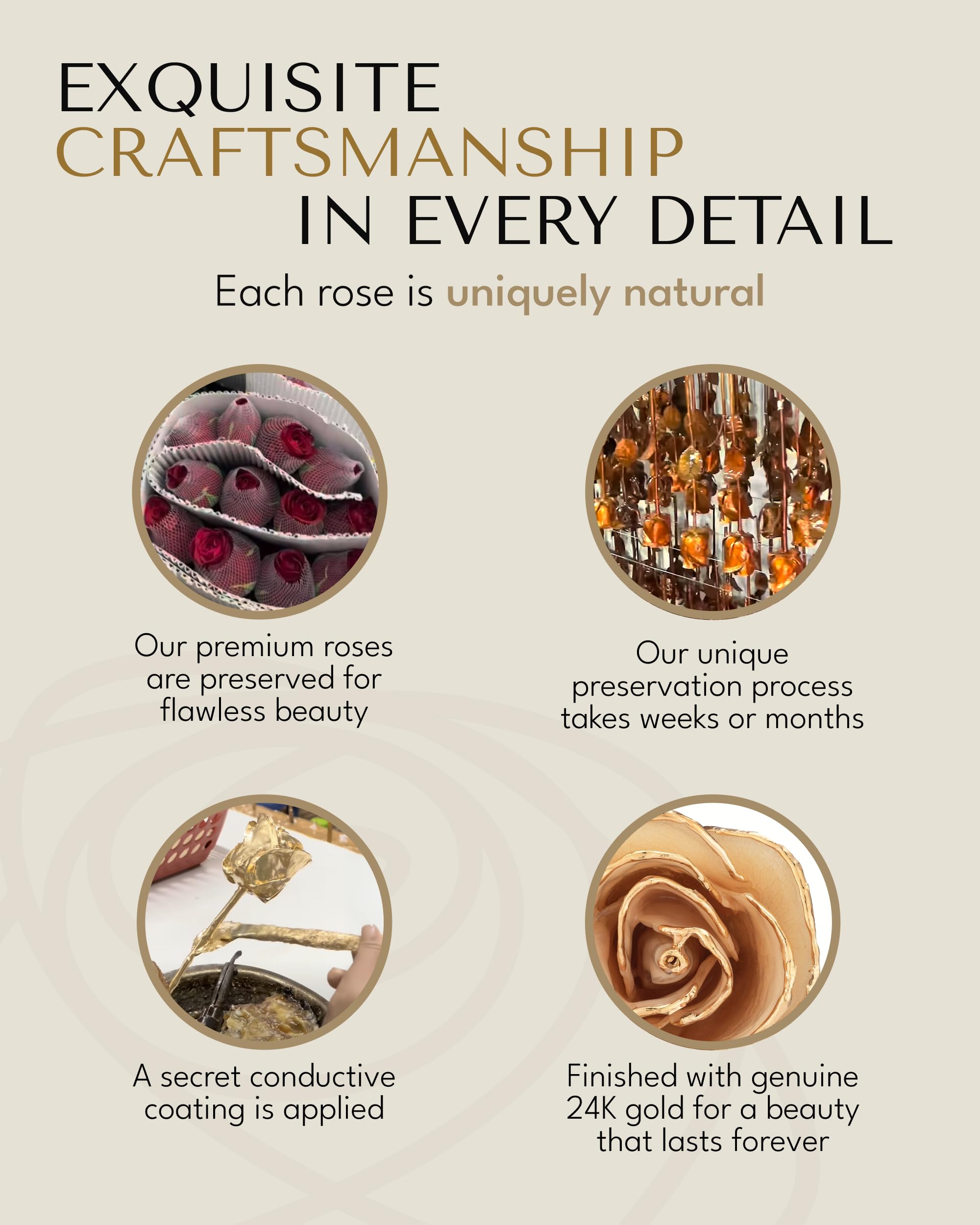 Amazon｜Forever Rose 本物のホワイトローズ 本物のユニークなローズ